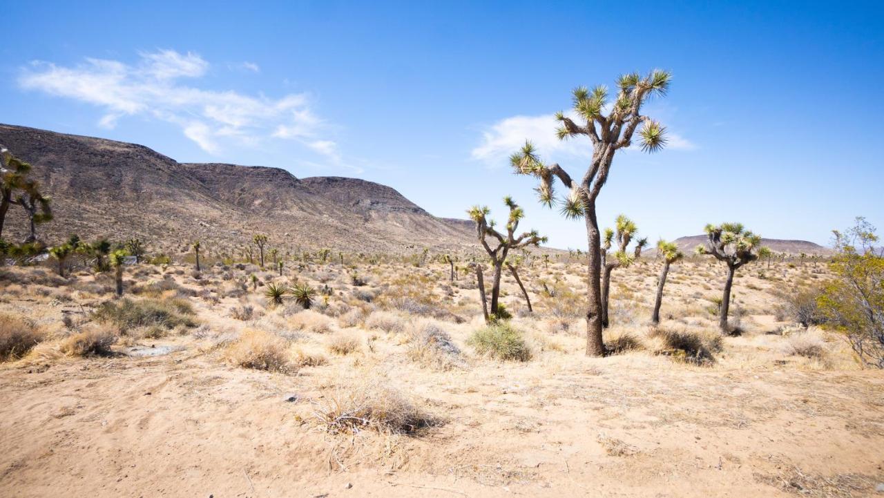 Wind Hill Yucca Valley Exterior foto